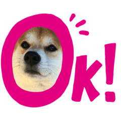 [LINEスタンプ] 柴犬オルチャンスタンプ3
