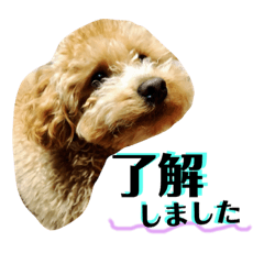 [LINEスタンプ] モモタローの会話
