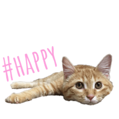 [LINEスタンプ] 涼香の日記vol.1