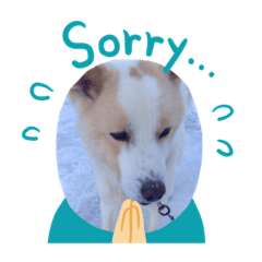 [LINEスタンプ] ゴールの日常 