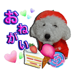 [LINEスタンプ] 僕は、トイ プードル。アルルです。