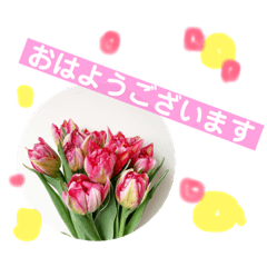 [LINEスタンプ] お花が好き5の画像（メイン）