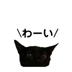 [LINEスタンプ] ききとふくとじじと