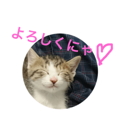 [LINEスタンプ] キキとララのスタンプ