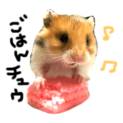 [LINEスタンプ] 愛する家族たち
