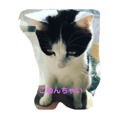 [LINEスタンプ] のぶさん1