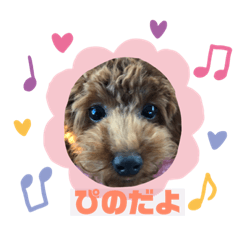 [LINEスタンプ] ピノちゃんスタンプ①