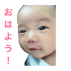 [LINEスタンプ] おうちゃんのスタンプ①