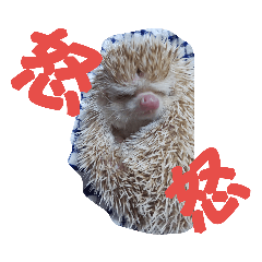 [LINEスタンプ] ハリネズミのファーリス