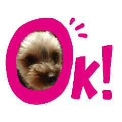 [LINEスタンプ] ヨーキーちび丸くん1