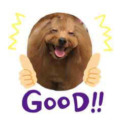 [LINEスタンプ] 僕はちゃま
