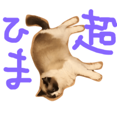 [LINEスタンプ] イロニャの日々