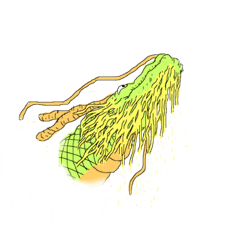 [LINEスタンプ] 昇龍