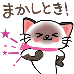 [LINEスタンプ] シャム猫ちゃん part6！ 関西弁♪