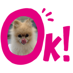 [LINEスタンプ] Pome's stickers 24