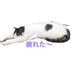 [LINEスタンプ] はなまるのん