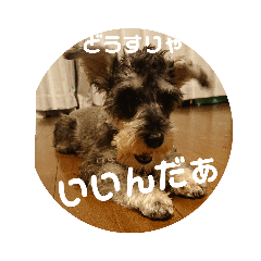 [LINEスタンプ] 一言シュナウザー