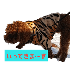 [LINEスタンプ] ボクの言葉だよ〰️