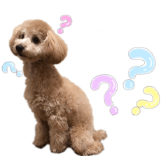 [LINEスタンプ] ニコスタンプ①