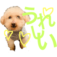 [LINEスタンプ] ラックの楽チン生活②