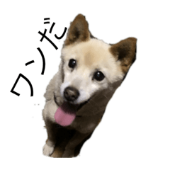 [LINEスタンプ] ミルみる 