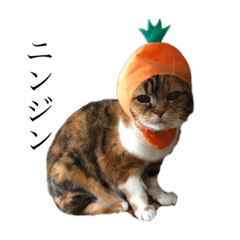 [LINEスタンプ] ウチのペット ちりたま！