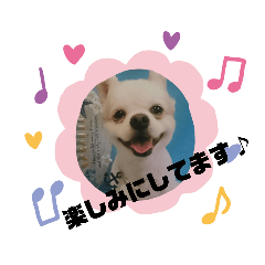 [LINEスタンプ] 愛息子チロル②