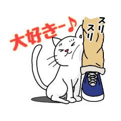 [LINEスタンプ] 白猫さーん！スタンプ