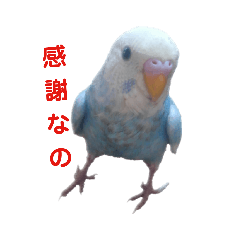 [LINEスタンプ] こはくと愉快な仲間2