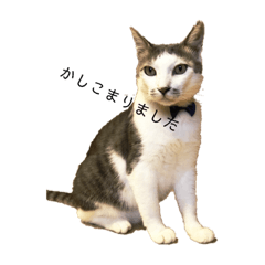 [LINEスタンプ] 由貴のハナ 