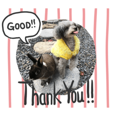 [LINEスタンプ] 犬とウサギの生活 2