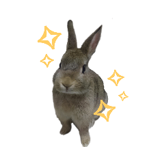 [LINEスタンプ] こむぎkunスタンプ