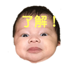 [LINEスタンプ] そちゃこんボーイ★