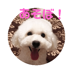 [LINEスタンプ] 犬のマロレオスタンプ。