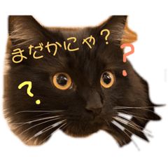 [LINEスタンプ] RUKEスタンプ