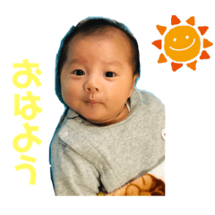 [LINEスタンプ] 蒼大君の日常で使えるスタンプ 