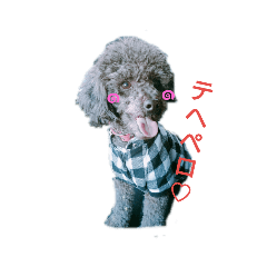 [LINEスタンプ] 横田famペット♡ 
