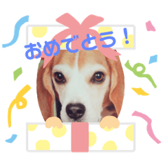 [LINEスタンプ] まめた-ん 