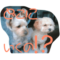 [LINEスタンプ] まめぞうとかん吉