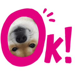 [LINEスタンプ] れおちゃんです