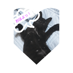 [LINEスタンプ] 豆やん。