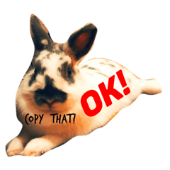 [LINEスタンプ] わがやのおもちすたんぷ