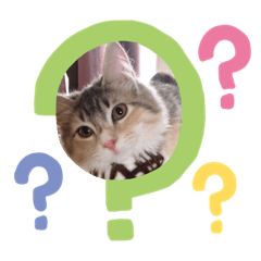 [LINEスタンプ] メルちゃんラメちゃん2