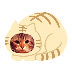 [LINEスタンプ] くせつよ16 