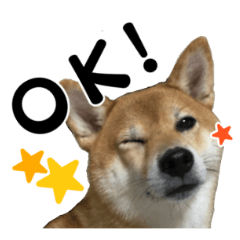 [LINEスタンプ] 柴犬おやこスタンプ fetchpriority=high