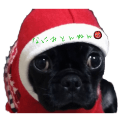 [LINEスタンプ] うめU´•ﻌ•`U 