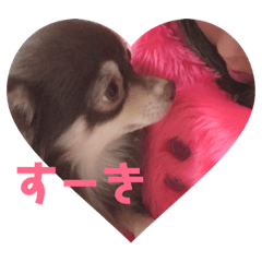 [LINEスタンプ] シェリの日常2