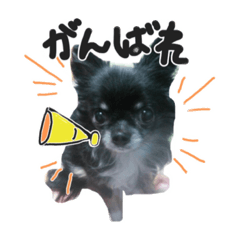[LINEスタンプ] ハッピーの1日❤