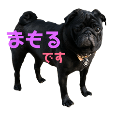 [LINEスタンプ] マモルスタンプ