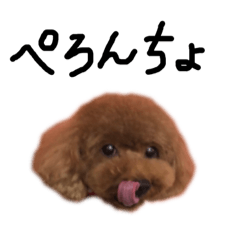 しょこらとまろん☆2